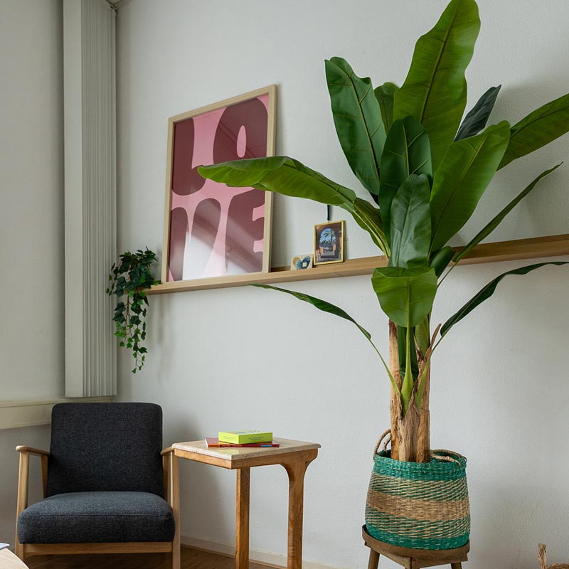 Autisme Centrum Haarlem